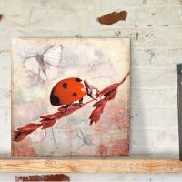Marienkäfer Flügeltiere Bild auf Holz Leinwand Kunstdruck Wanddeko Landhausstil Vintage Style Shabby Chic günstig kaufen Bild 2