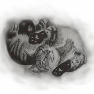 handgezeichnete Grußkarte Sketchy 13x13 cm skizzenhafte Zeichnung von Deinem Haustier, Bleistift, nach Fotovorlage, Tier Bild 2