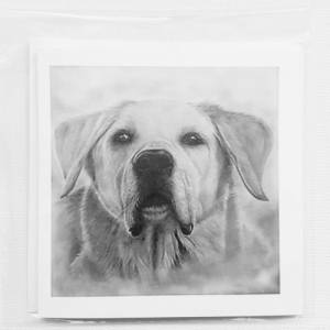 handgezeichnete Grußkarte Sketchy 13x13 cm skizzenhafte Zeichnung von Deinem Haustier, Bleistift, nach Fotovorlage, Tier Bild 4