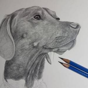 handgezeichnete Grußkarte Sketchy 13x13 cm skizzenhafte Zeichnung von Deinem Haustier, Bleistift, nach Fotovorlage, Tier Bild 5