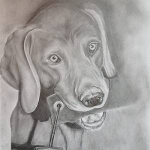 handgezeichnete Grußkarte Sketchy 13x13 cm skizzenhafte Zeichnung von Deinem Haustier, Bleistift, nach Fotovorlage, Tier Bild 6