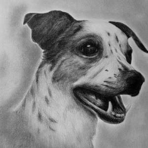 handgezeichnete Grußkarte Sketchy 13x13 cm skizzenhafte Zeichnung von Deinem Haustier, Bleistift, nach Fotovorlage, Tier Bild 7