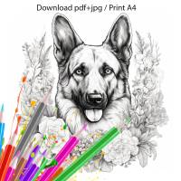 digitales Ausmalbild Schäferhund, zum Download und selbst ausdrucken Bild 1