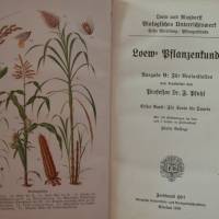 Biologisches Unterrichtswerk  -  Loews Pflanzenkunde  Ausgabe B: Für Realanstalten  1910 Bild 2