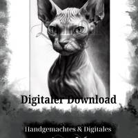 Digitaler Download Motiv "Sphynx-Katze Lineart" Sublimation png 300dpi 20x30cm Kunstdruck Wanddeko Kartenbasteln Bild 2