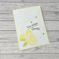 Grußkarten / Glückwunschkarten zum Geburtstag, „Einen spritzigen Geburtstag“, Zitronen, Geburtstagskarte, Stampin‘ Up! Bild 1