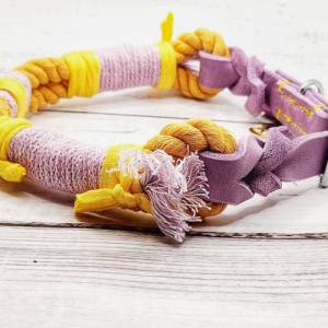 Halsband "Hippie Yellow" Fettleder Hundehalsband Lederhalsband Bild 2