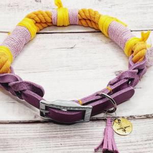 Halsband "Hippie Yellow" Fettleder Hundehalsband Lederhalsband Bild 3