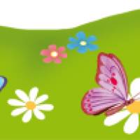 Kinderbordüre: Bunte Blumenwiese mit Schmetterlingen - selbstklebend - 13,5 cm Höhe Bild 8