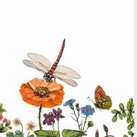 Notizheft Sommerwiese & Lesezeichen, Blumenwiese mit Mohnblumen, Libellen und Schmetterlingen Bild 1