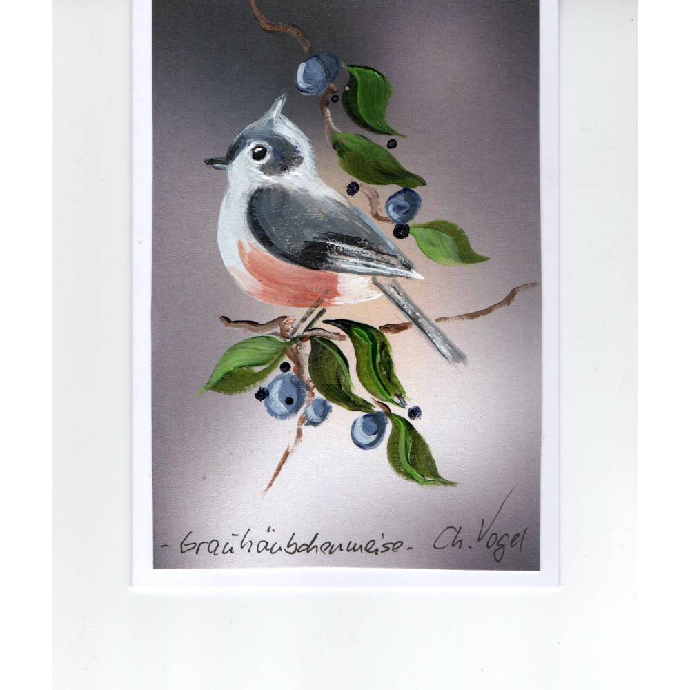 Grußkarte, Sammelkarte Grauhäubchenmeise handgemalt