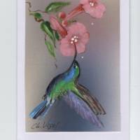 Grußkarte ,  Urlaubsgruß-   Kolibri mit Trompetenblumen-   handgemalt