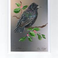 Grußkarte,  Sammelkarte,  Vogelmalerei-   Star-   handgemalt