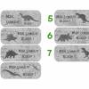 52 Namensaufkleber | Dino Fossilien - grau - 2 x 5 cm Bild 2