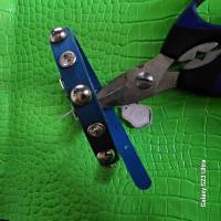 Kleines zierliches Hundehalsband, blau mit Ziernieten (HH 04) Bild 8