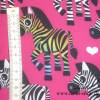 16,00 EUR/m Softshell mit Fleece Innenseite Zebras auf pink Bild 2