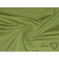 13,00 EUR/m Jersey Baumwolljersey uni einfarbig grün apfelgrün Bild 1