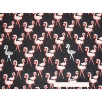 13,40 EUR/m Jersey Baumwolle Flamingo auf schwarz Bild 1