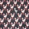 13,40 EUR/m Jersey Baumwolle Flamingo auf schwarz Bild 2