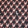 13,40 EUR/m Jersey Baumwolle Flamingo auf schwarz Bild 5