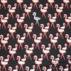 13,40 EUR/m Jersey Baumwolle Flamingo auf schwarz Bild 6