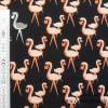 13,40 EUR/m Jersey Baumwolle Flamingo auf schwarz Bild 8