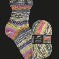 Opal Hundertwasser II, Sockenwolle 4fach, 100 g, Farbe: "Der Weg von dir zu mir zurück" (2107) Bild 4
