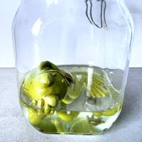 Der Spreewaldfrosch, Pickles, saure Gurken, Frosch Skulptur, Frosch im Glas, Froschkönig, Froschplastik, modellierter Fr Bild 4