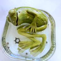 Der Spreewaldfrosch, Pickles, saure Gurken, Frosch Skulptur, Frosch im Glas, Froschkönig, Froschplastik, modellierter Fr Bild 7