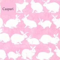 20 Cocktailservietten Rabbit Hutch, Osterservietten mit Hasen auf Pink, von Caspari Bild 1