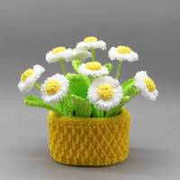 Häkelanleitung Blumen-Dekoration Gänseblümchen im Topf - einfach & vielseitig aus Wollresten Bild 1