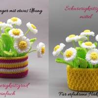 Häkelanleitung Blumen-Dekoration Gänseblümchen im Topf - einfach & vielseitig aus Wollresten Bild 6