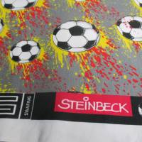 Rest:1,40 x 1,50m Baumwolljersey Fußball by Steinbeck Oeko-Tex Standard 100(1 m/8,57€) Bild 1