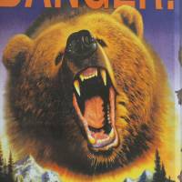 Vintage Blechschild Danger Bears Nostalgie Bild 2