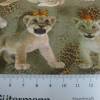 Rest:1,00 x 1,50m Baumwolljersey " Löwen Baby" Digitaldruck ,Oeko-Tex Standard 100(1m/8,00€) Bild 1