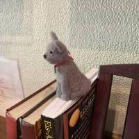 Lesezeichen weiße Katze - bewacht das Buch seiner Besitzer, witziges Lesezeichen für Katzenfreunde, Bild 9