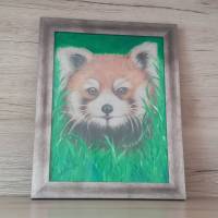 Original-Bild - "roter Panda" mit Rahmen in Metalloptik Bild 1