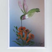 Grußkarte,  Glückwunschkarte-   Kolibri mit Trompetenblumen-  handgemalt