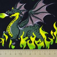 ♕ French Terry Sommersweat Mystic Dragon by Steinbeck 50 x 155 cm Nähen Drachen ♕ Bild 5