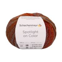 Schachenmayr Spotlight on color 100g   Alle Farben. Auswahl !! Bild 3