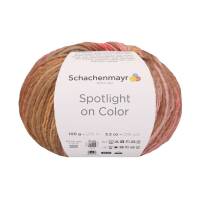 Schachenmayr Spotlight on color 100g   Alle Farben. Auswahl !! Bild 4