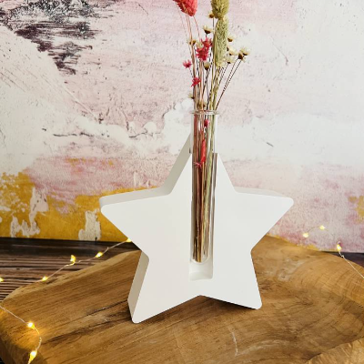 Stern mit Reagenzglas-Vase aus Raysin in einer Geschenkverpackung
