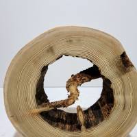 Holzring zum Basteln und Dekorieren aus Fichtenholz naturgewachsen. Bild 2