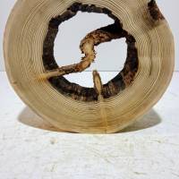 Holzring zum Basteln und Dekorieren aus Fichtenholz naturgewachsen. Bild 3