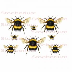 Wasserschiebefolie oder rub on  Laser wasserfest 7 Bienen auf A 4 schwarz Hintergrund transparent Möbeltattoo Abziehbild Bild 1