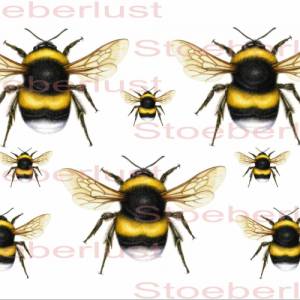 Wasserschiebefolie oder rub on  Laser wasserfest 7 Bienen auf A 4 schwarz Hintergrund transparent Möbeltattoo Abziehbild Bild 2