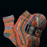 Opal Hundertwasser I, Sockenwolle 4fach, 100 g, Farbe: "Die Straße zum Sozialismus" (1400) Bild 2