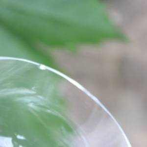 5 Jugendstil Weingläser mundgeblasen grüner Stiel Kristallglas Bild 7