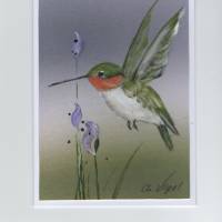 Grußkarte,  Geburtstagskarte,  Sammelkarte-  Kolibri-  handgemalt Bild 1