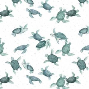 Jersey (Bio) Schildkröten - Eigenproduktion Bild 1